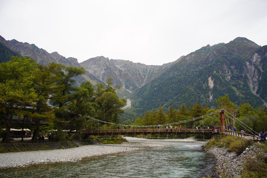上高地の河童橋。梓川ぞいは、まだ緑でした。