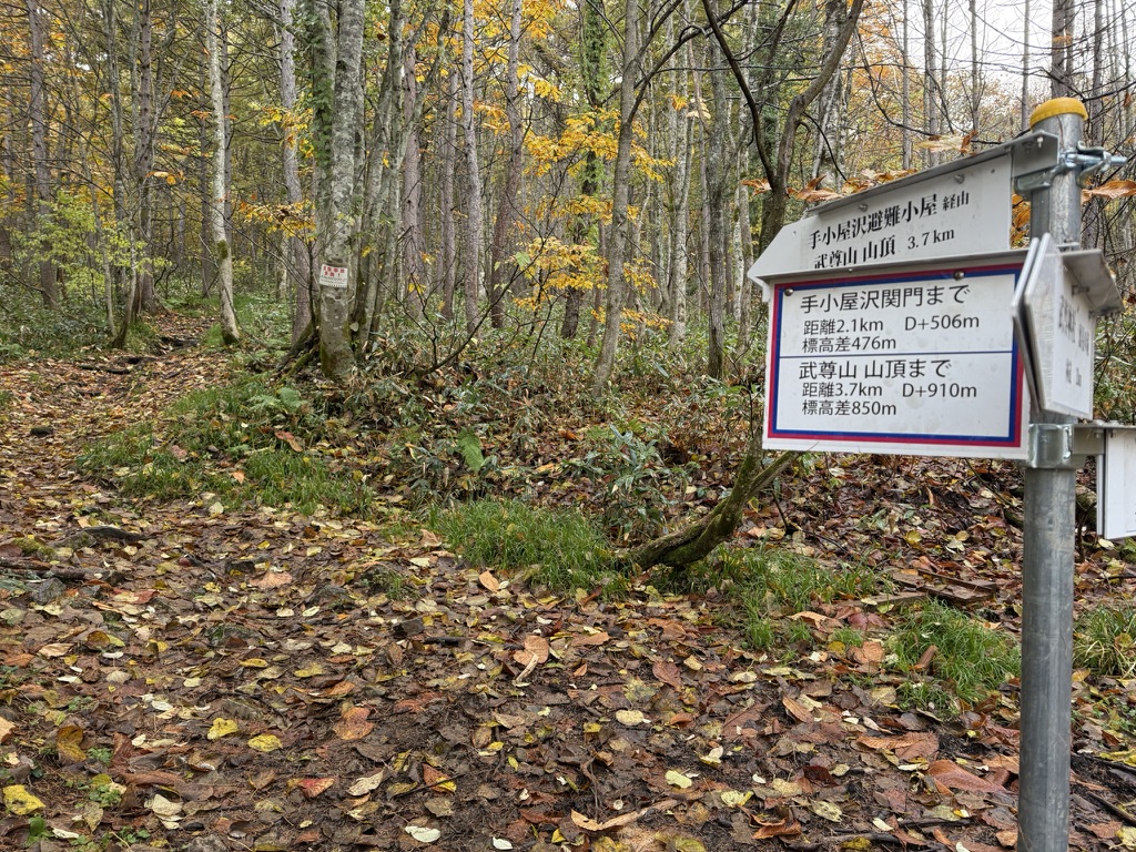 落ち葉の積もった登山道と、武尊山の登山道標識