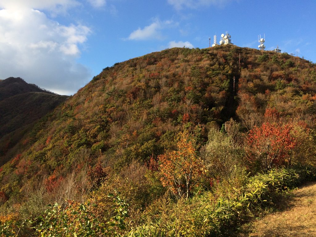 紅葉に覆われた山の斜面と、山頂に立つ電波塔