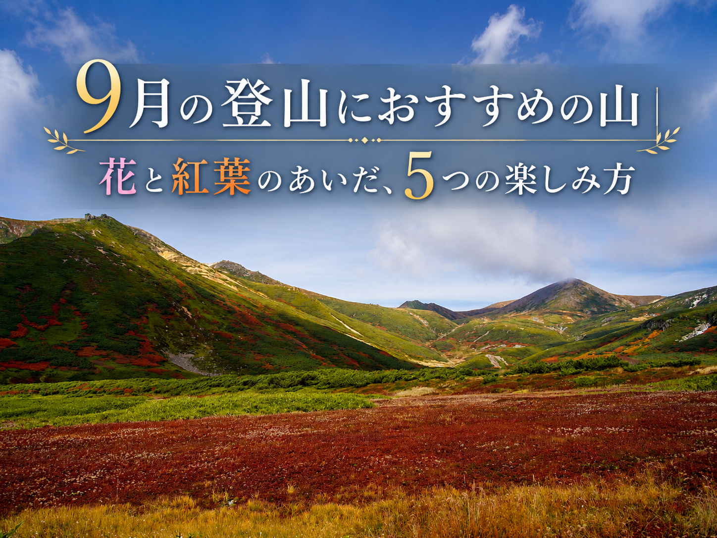9月の登山におすすめの山｜花と紅葉のあいだ、5つの楽しみ方（大雪山・旭岳の草紅葉）