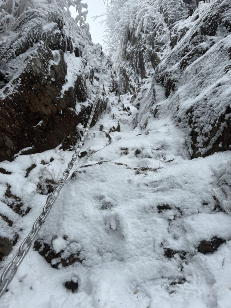 雪の上に、先行した人の足跡が残っていました