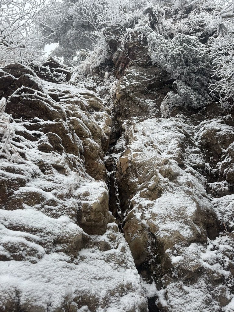 9時42分。岩の割れ目を見上げると、雪と霧氷で真っ白でした