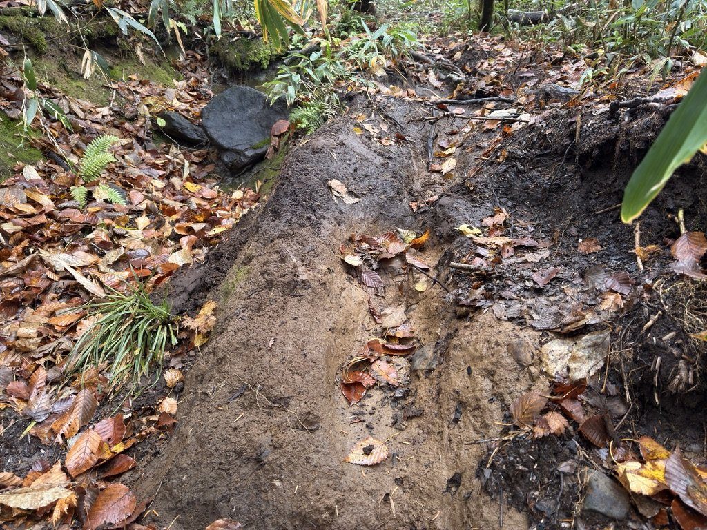 剣ヶ峰山からの下り。えぐれた道が泥になっていました
