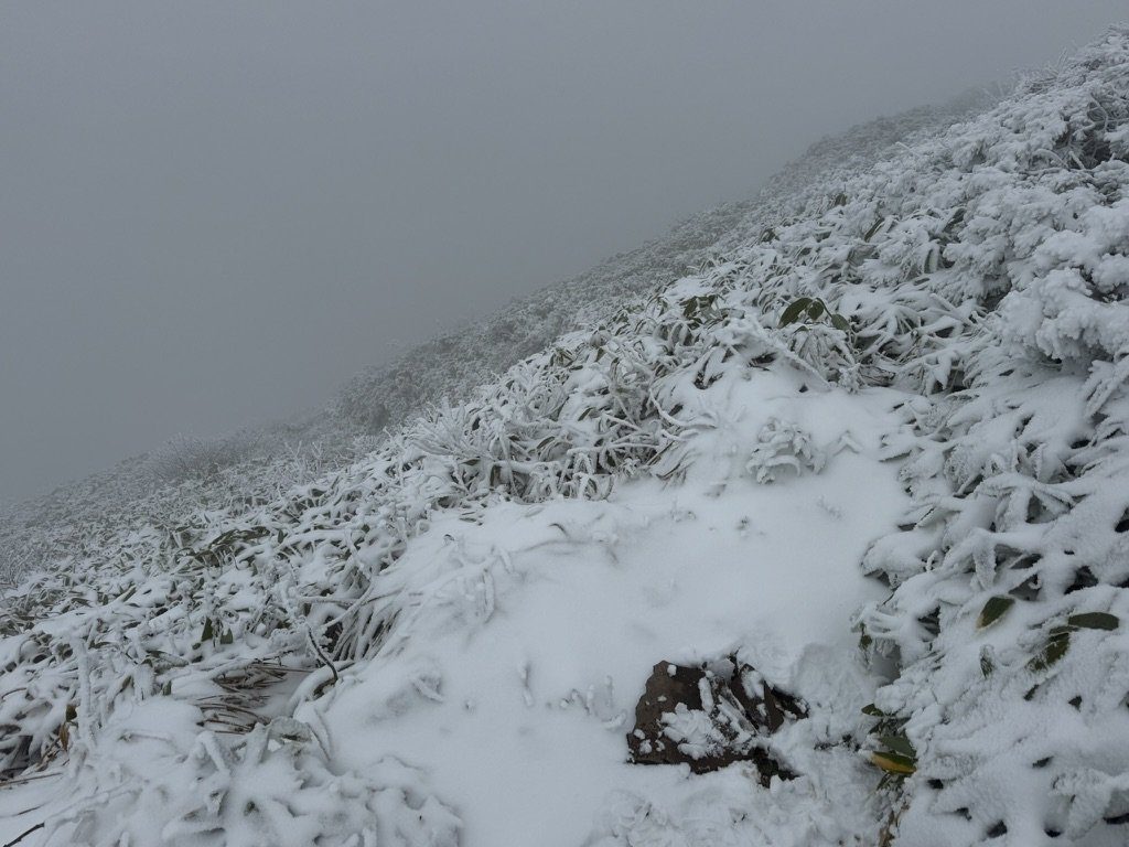 展望はゼロ。紅葉を見に来たはずが、真っ白な山頂でした