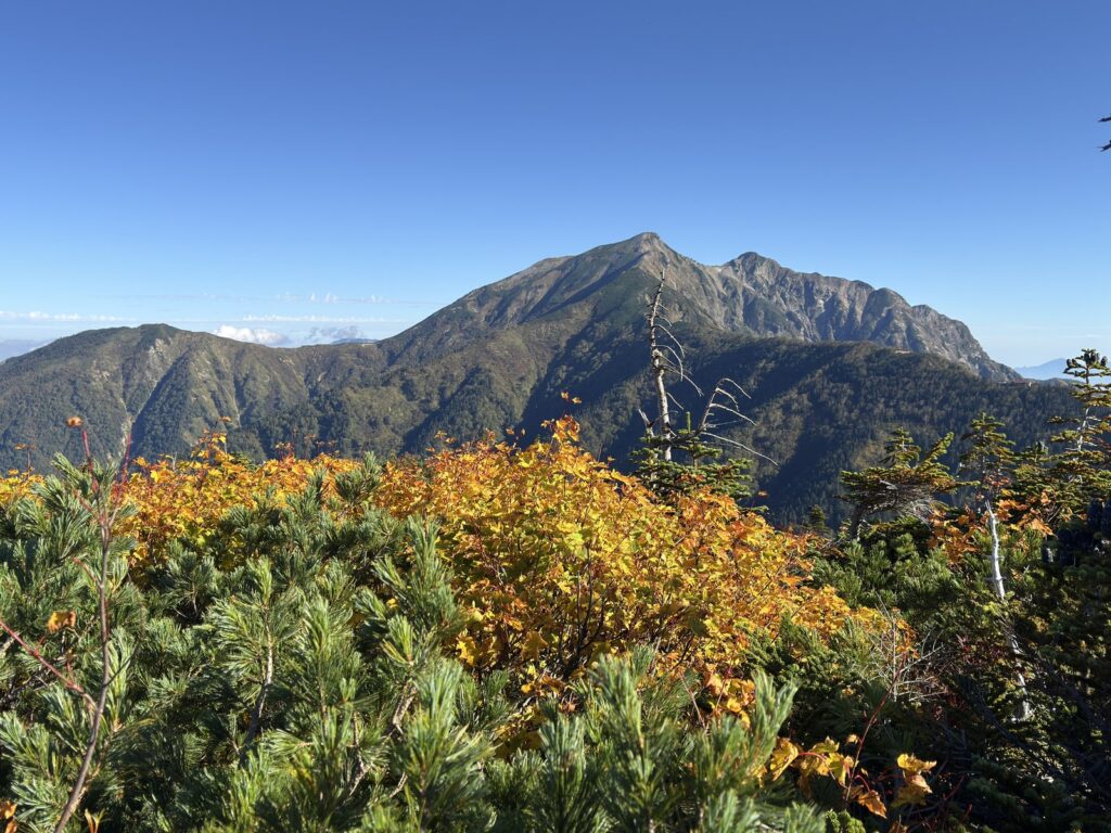 黄色やオレンジに色づいた斜面の向こうの鹿島槍ヶ岳