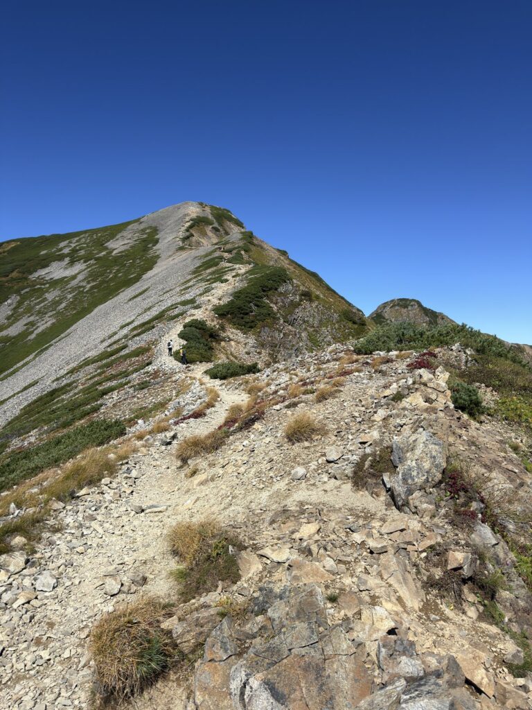鹿島槍ヶ岳へ続く稜線の登山道と、色づいた草