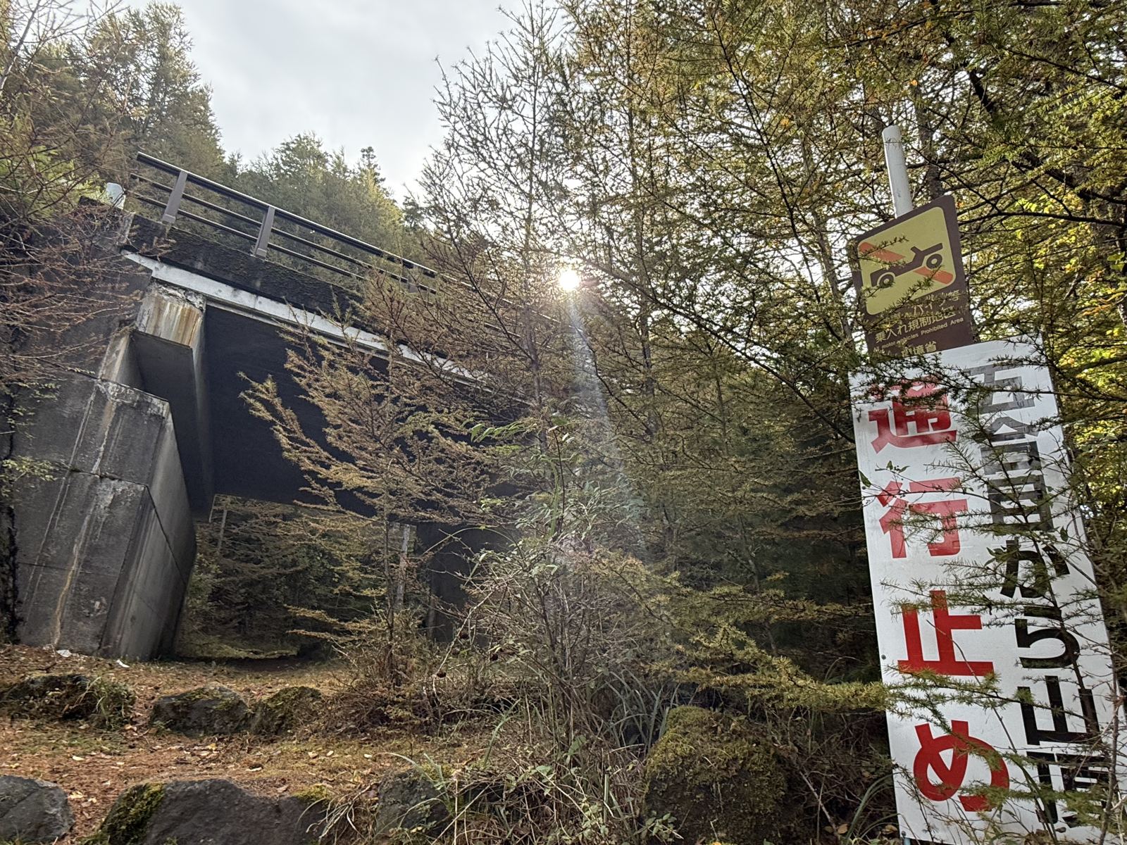 ここから上は、山頂まで通行止めです。