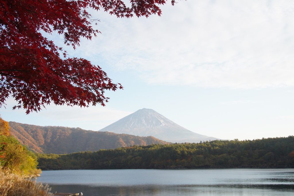 下山後の西湖。もみじは、湖のほとりで見頃でした。