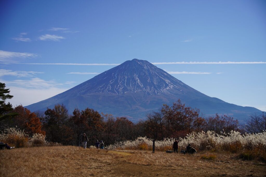 三湖台。ススキの広場の向こうに、富士山の全景。
