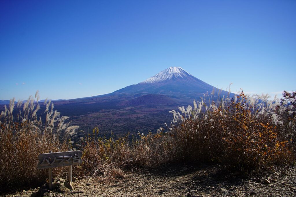 パノラマ台。小さな標識の向こうに、富士山と青木ヶ原。