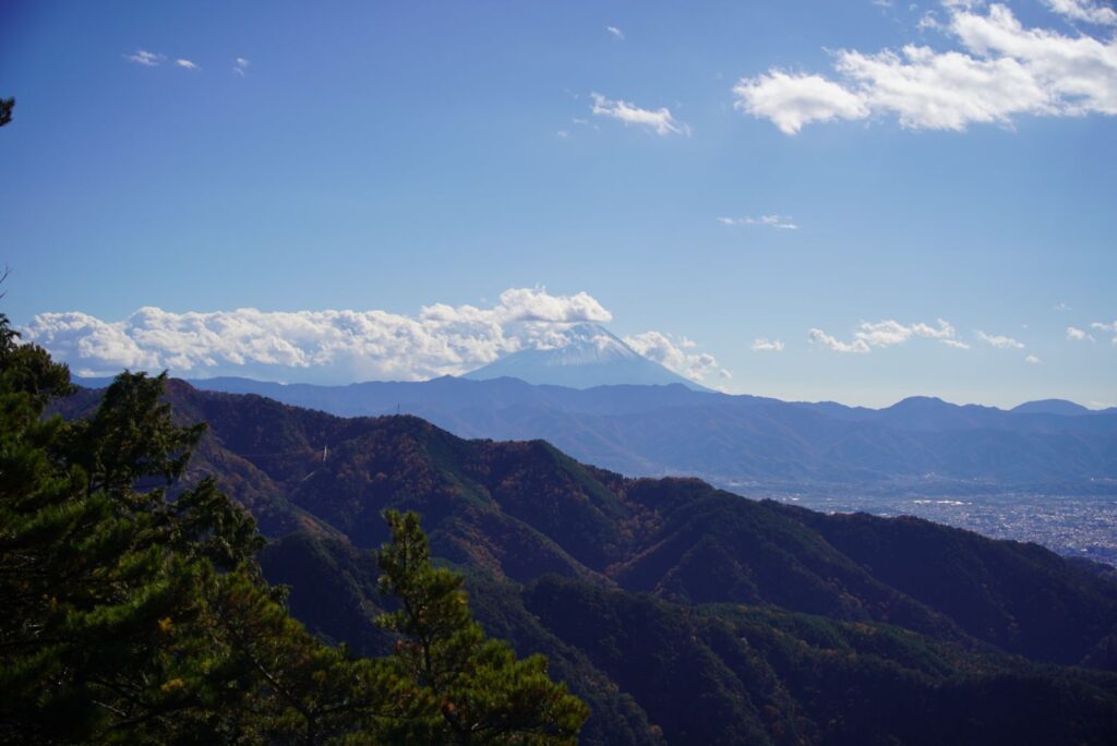 弥三郎岳から見た甲府盆地と富士山。