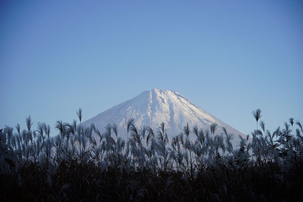 下山してすぐの根場から見た富士山。