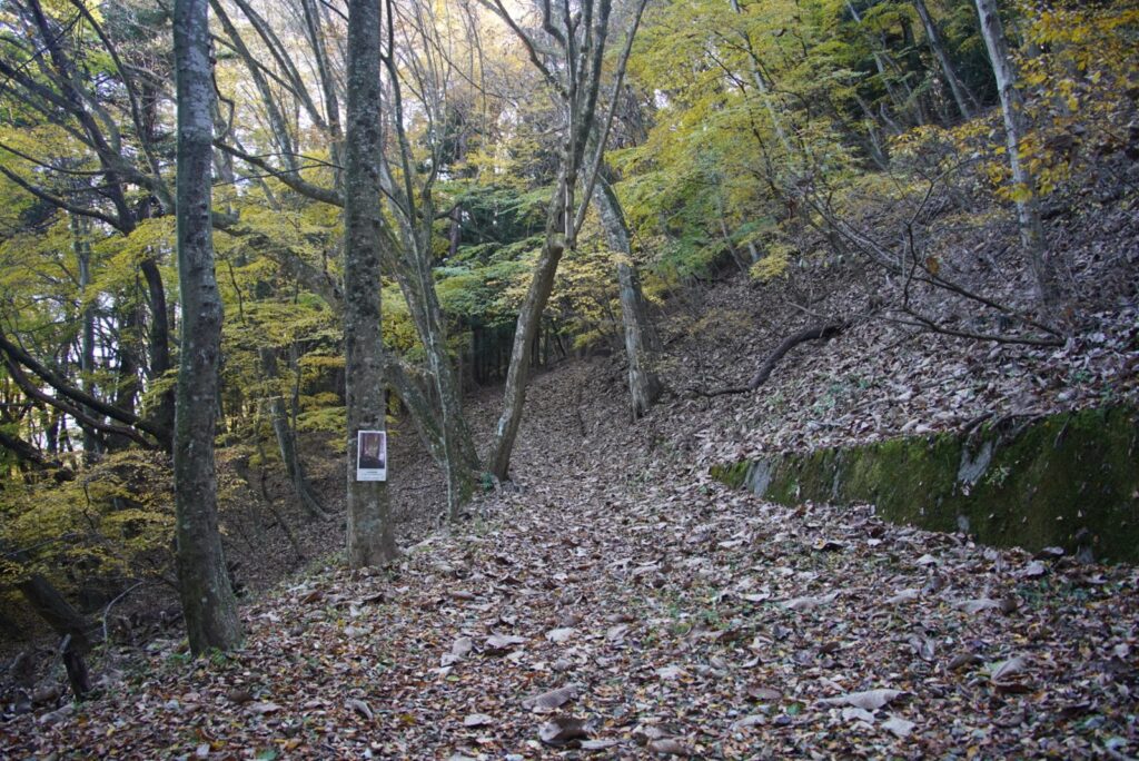 11月の足和田山。落ち葉の積もった登山道（2022年11月10日）